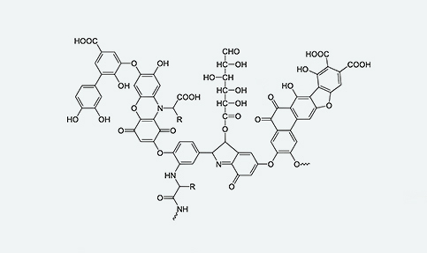 腐植酸行業(yè)為何呈現(xiàn)“小、亂、散”的局勢？原因之一為腐植酸檢測標準不足夠精確。