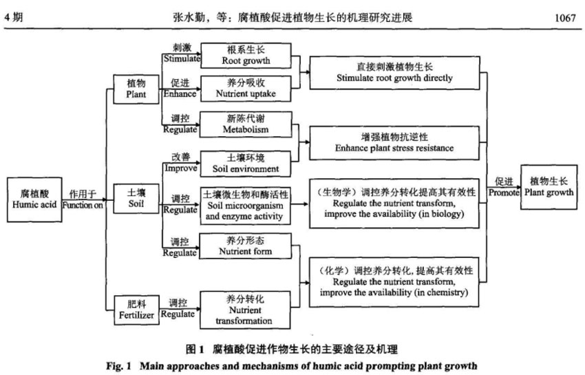 短篇幅講解腐植酸對(duì)農(nóng)作物的作用原理